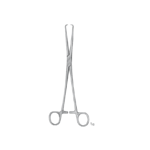PINZA PARA COGER CUELLO UTERO_SCHROEDER RECTA 25CM_KB 255/25-NOPA