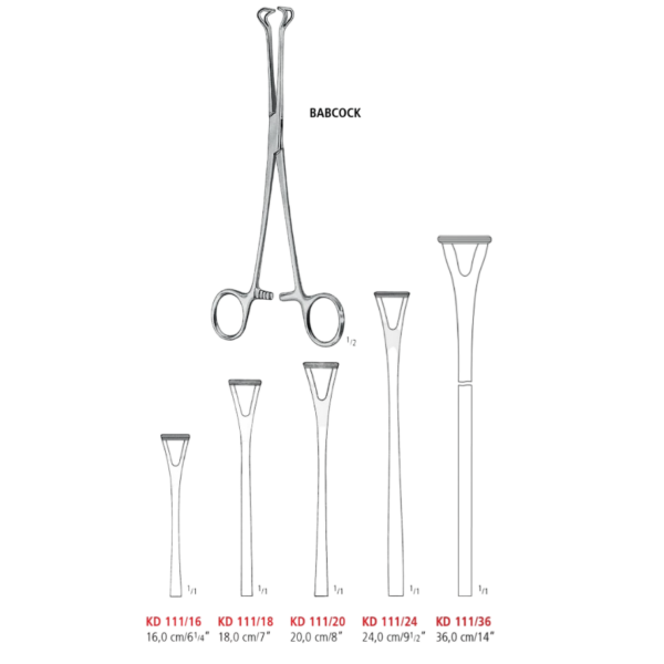 PINZA PARA COGER INTESTINOS BABCOCK 16 CM KD 111/16-NOPA